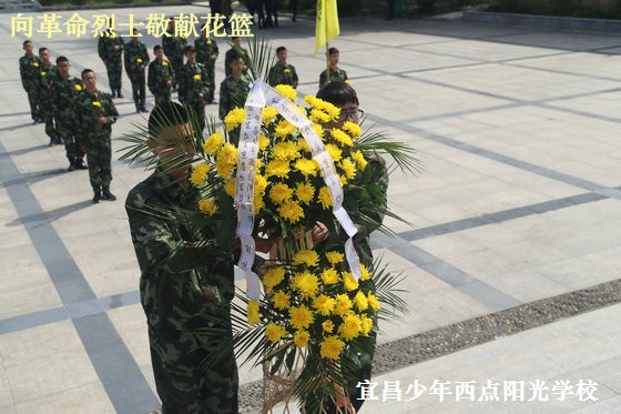 15.jpg