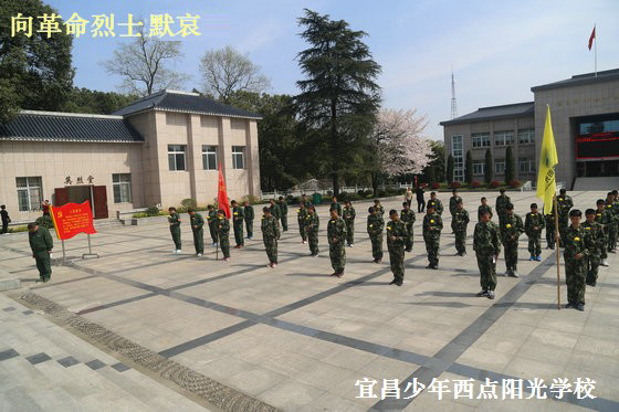 16.jpg